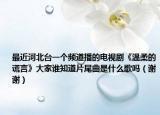 最近河北台一个频道播的电视剧《温柔的谎言》大家谁知道片尾曲是什么歌吗（谢谢）