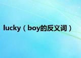 lucky（boy的反义词）
