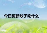 今日更新蚊子吃什么