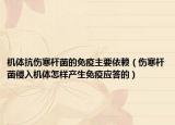 机体抗伤寒杆菌的免疫主要依赖（伤寒杆菌侵入机体怎样产生免疫应答的）