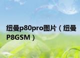 纽曼p80pro图片（纽曼P8GSM）