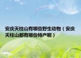 安庆天柱山有哪些野生动物（安庆天柱山都有哪些特产呢）