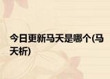 今日更新马天是哪个(马天析)