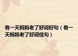 有一天妈妈老了好词好句（有一天妈妈老了好词佳句）
