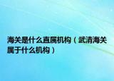 海关是什么直属机构（武清海关属于什么机构）