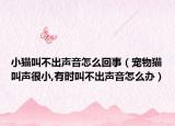 小猫叫不出声音怎么回事（宠物猫叫声很小,有时叫不出声音怎么办）