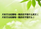 犬夜叉完结篇每一集的名字是什么英文（犬夜叉完结篇每一集的名字是什么）