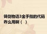 铸剑物语3金手指的代码咋么用啊（ ）