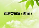 西涌荧光海（西涌）