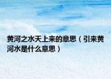 黄河之水天上来的意思（引来黄河水是什么意思）