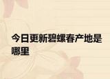 今日更新碧螺春产地是哪里