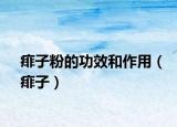 痱子粉的功效和作用（痱子）