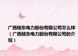 广西桂东电力股份有限公司怎么样（广西桂东电力股份有限公司的介绍）