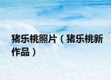 猪乐桃照片（猪乐桃新作品）