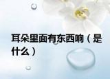 耳朵里面有东西响（是什么）