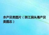 水产贝类图片（浙江洞头海产贝类图志）