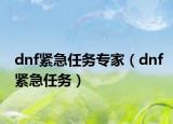 dnf紧急任务专家（dnf紧急任务）