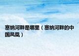 塞纳河畔是哪里（塞纳河畔的中国凤凰）