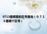 0713是哪里的区号查询（０７１３是哪个区号）