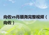 向佐vs肖顺尧完整视频（向佐）