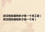 武汉现在保姆多少钱一个月工资（武汉现在保姆多少钱一个月）