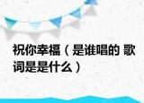 祝你幸福（是谁唱的 歌词是是什么）