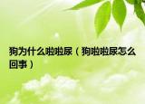 狗为什么啦啦尿（狗啦啦尿怎么回事）