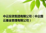 中云投资集团有限公司（中企国云基金管理有限公司）