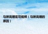 马琳离婚官司视频（马琳离婚的原因）