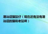 潮汕话猫鼠仔（现在还有没有潮汕话的猫和老鼠啊）