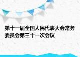 第十一届全国人民代表大会常务委员会第三十一次会议