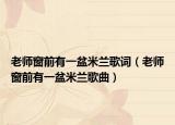 老师窗前有一盆米兰歌词（老师窗前有一盆米兰歌曲）