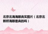 北京北海海眼真实图片（北京北新桥海眼是真的吗）