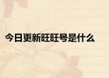 今日更新旺旺号是什么
