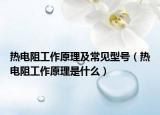 热电阻工作原理及常见型号（热电阻工作原理是什么）