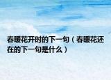 春暖花开时的下一句（春暖花还在的下一句是什么）