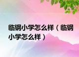 临钢小学怎么样（临钢小学怎么样）