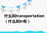什么叫transportation（什么叫tr布）