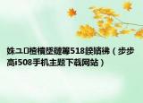 姝ユ楂樻墜鏈篿518鍨嬪彿（步步高i508手机主题下载网站）
