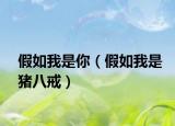 假如我是你（假如我是猪八戒）