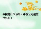 中搜是什么意思（中搜公司是做什么的）