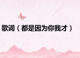 歌词（都是因为你我才）