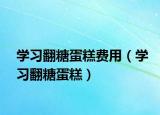 学习翻糖蛋糕费用（学习翻糖蛋糕）