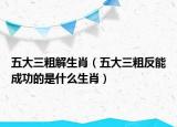 五大三粗解生肖（五大三粗反能成功的是什么生肖）