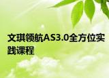 文琪领航AS3.0全方位实践课程