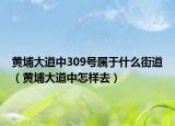 黄埔大道中309号属于什么街道（黄埔大道中怎样去）