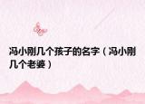 冯小刚几个孩子的名字（冯小刚几个老婆）