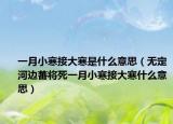 一月小寒接大寒是什么意思（无定河边蕃将死一月小寒接大寒什么意思）
