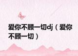 爱你不顾一切dj（爱你不顾一切）