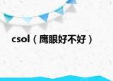 csol（鹰眼好不好）